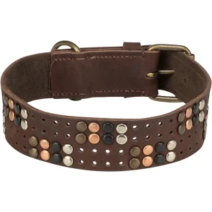 Rustic Fettleder Hundehalsband mit Nieten
