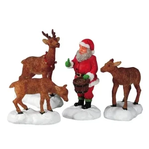 Santa Feeds Reindeer Set of 4 Art.-Nr. 52146 - HaustierPro