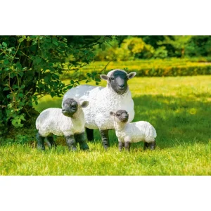 Schaf mittel 35 x 16 x 34 cm | 61028 - HaustierPro
