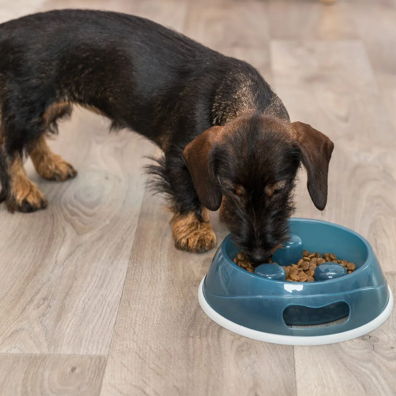 Schlinger Napf Slow Feed für Hunde - Image 2