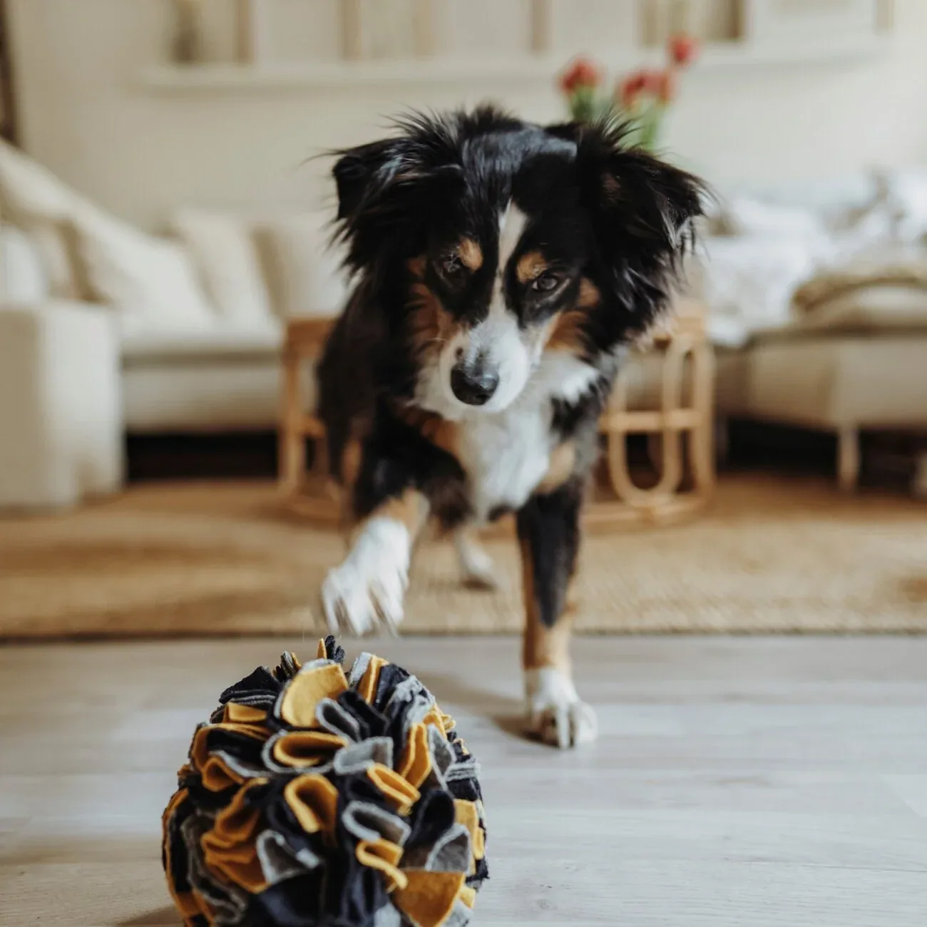 Schnüffelball Eiby für Hunde - Image 2