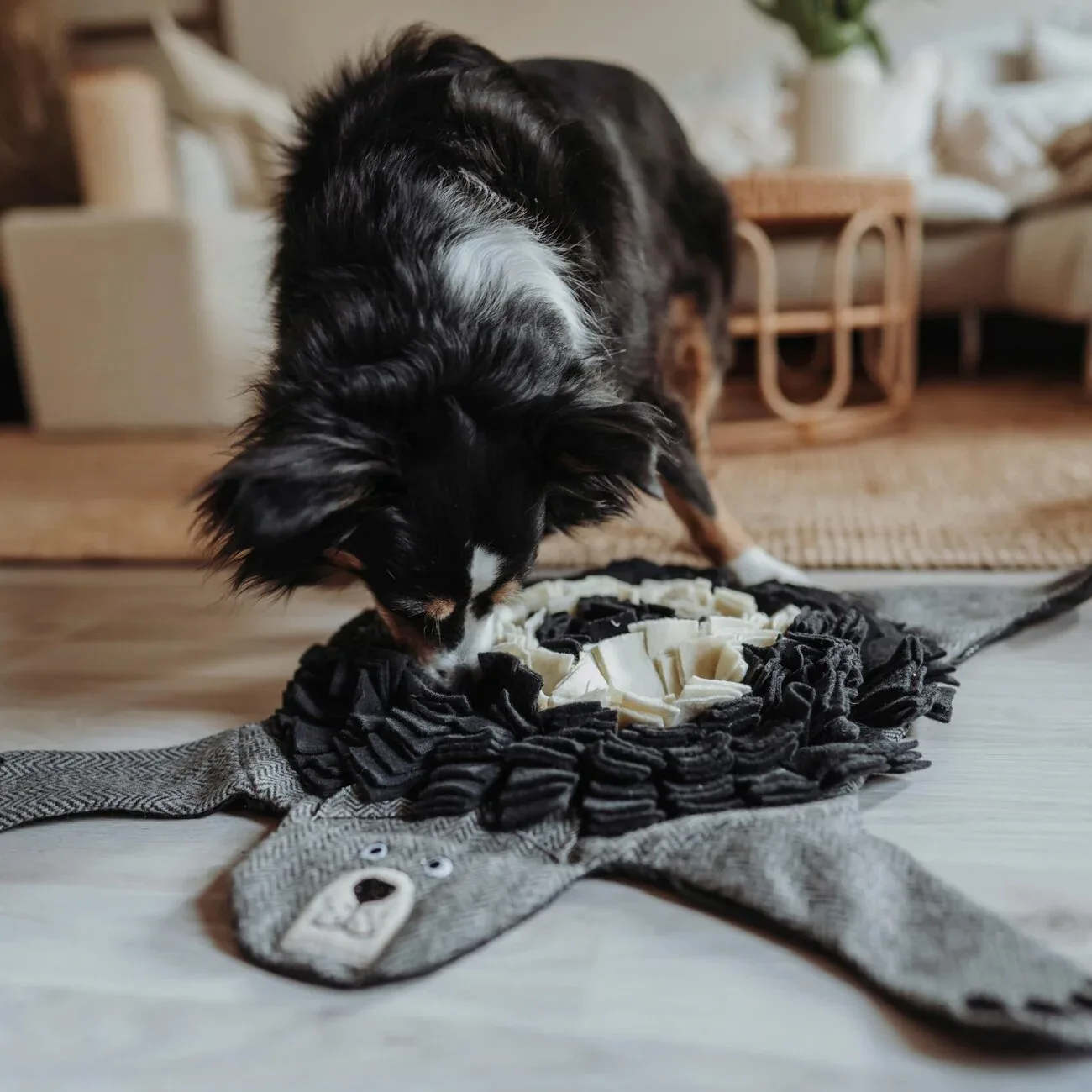 Schnüffelteppich Billund für Hunde - Image 2