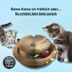 ScratchPlay™ – Interaktives Kratzspiel mit Glöckchen für aktive Katzenmomente [50 % Rabatt] mit austauschbaren Federn - HaustierPro