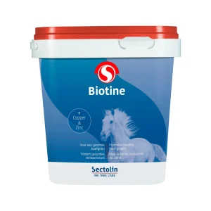 Sectolin Equivital Biotine | bestellen
