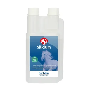 Sectolin Silicium