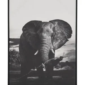 Segeltuch NIBBIA Tiermotiv 63 x 99 cm Grau - HaustierPro