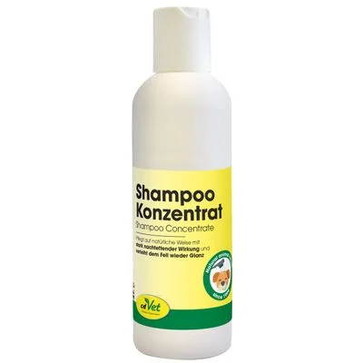 Shampoo Konzentrat 100ml