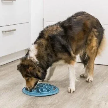 Slow Feeding Futtermatte für Hunde - Image 2