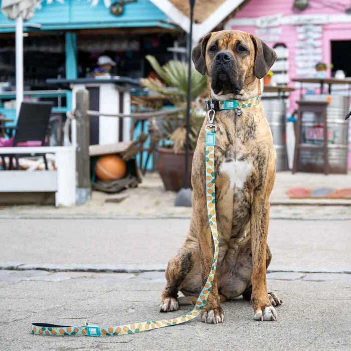 Smart ID Hundehalsband Sweet Pineapple - Image 2