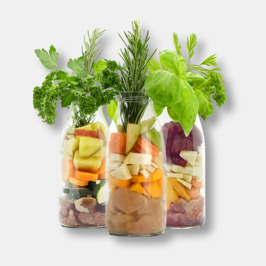 SmoothieDog® Probierpaket, 6 x 250 ml - Image 2