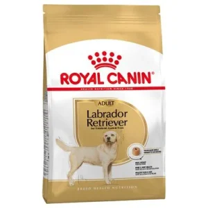 Sparpaket Royal Canin Labrador Retriever Adult (2 x 12 kg)