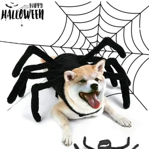 SpiderDog™ Halloween-Hundekostüm Mit Spinne | 50% Rabatt - HaustierPro