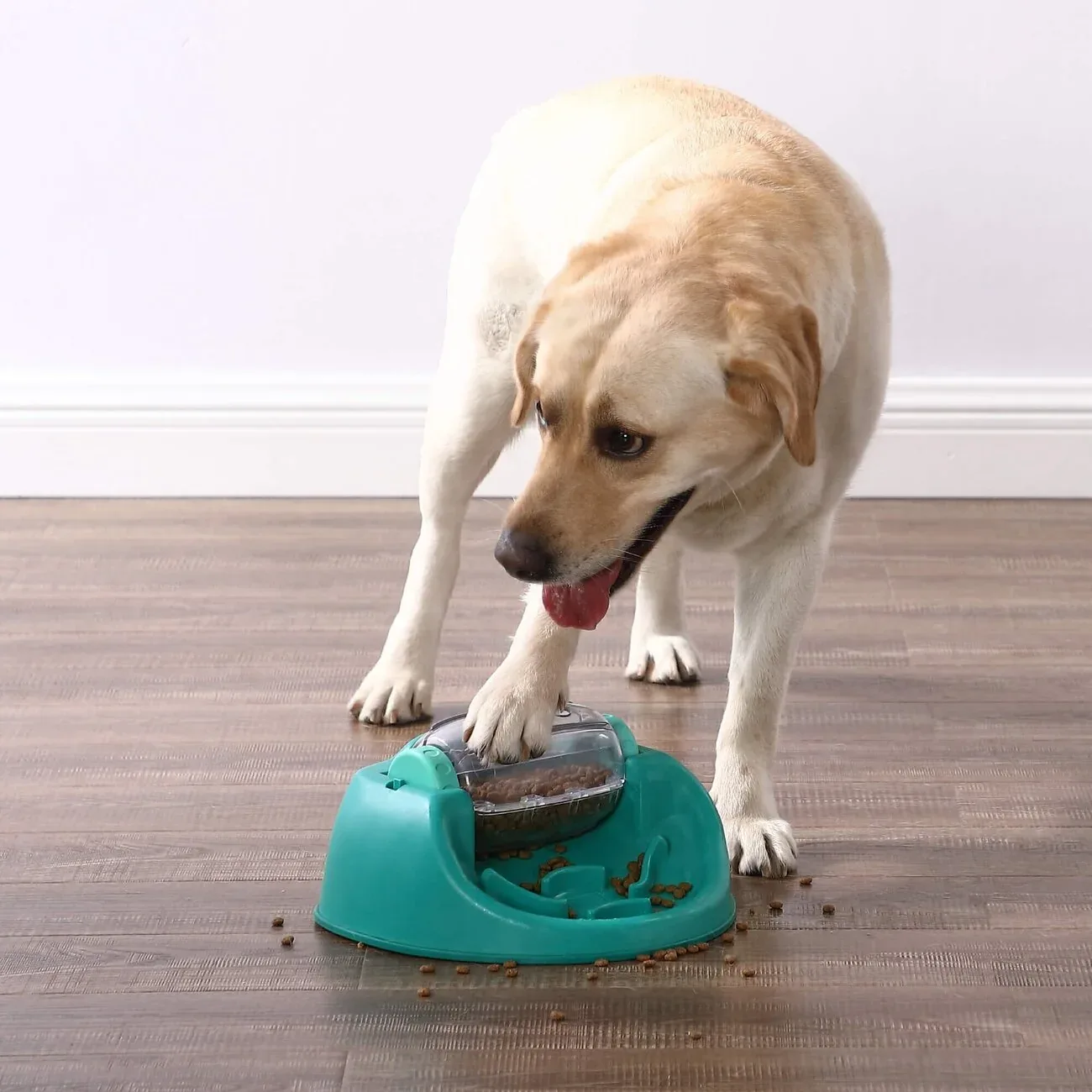 Spin n Eat Snackspielzeug für Hunde - Image 2