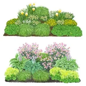 Stauden- und Blumenzwiebel-Set Schattengarten, | Dehner
