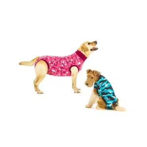 Suitical Recovery Suit Hund