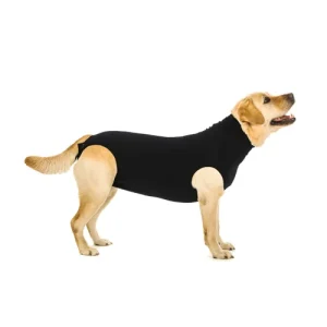 Suitical Recovery Suit Hund