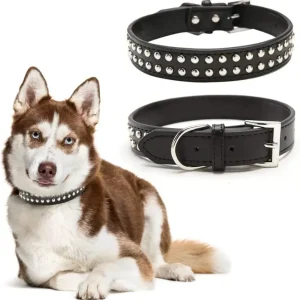 Taktisches Nietenhalsband für Große Hunde – Anti-Biss Hundehalsband mit Stacheln – Robustes Breites Halsband für Bulldogge, Rottweiler & Dobermann - HaustierPro