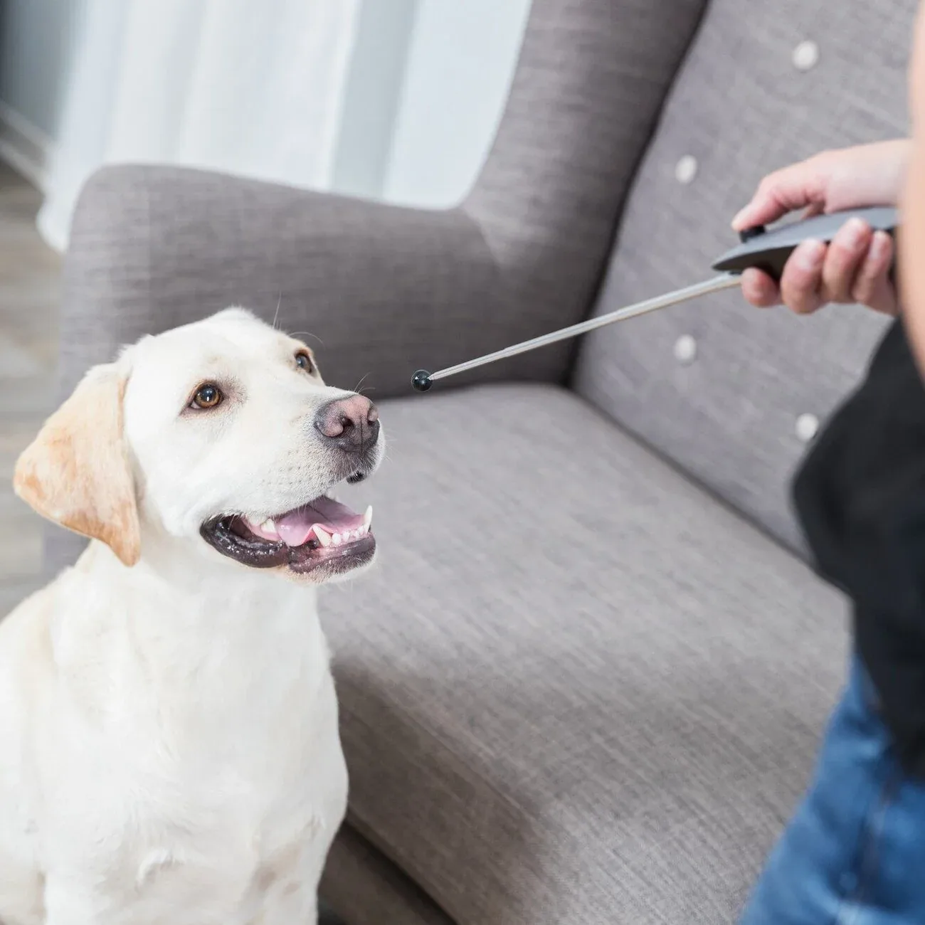 Target Stick mit Clicker - Image 2
