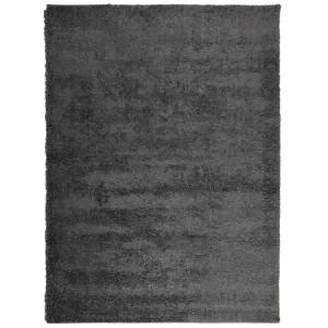 Teppich Shaggy Hochflor Aktuell Anthrazit 60x110 cm - HaustierPro