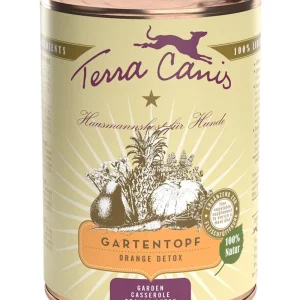 Terra Canis Gartentopf, Orange Detox