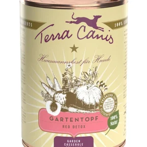Terra Canis Gartentopf, Red Detox