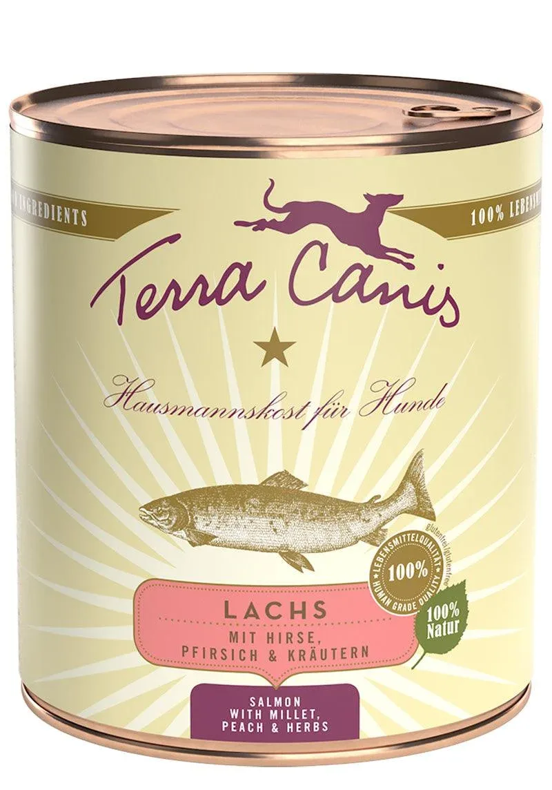 Terra Canis Lachs Classic mit Hirse, Pfirsich und Kräutern - Image 2