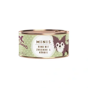 Terra Canis Minis Rind mit Zucchini und Kürbis 100g | DAS FUTTERHAUS