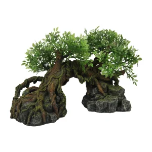 Terra Della Dschungelbaum | Reptilien