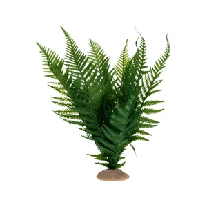 Terra Della Farn | Terrarium