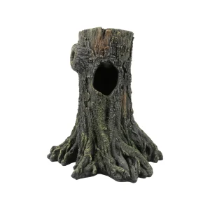 Terra Della Gecko Baum | Reptilien