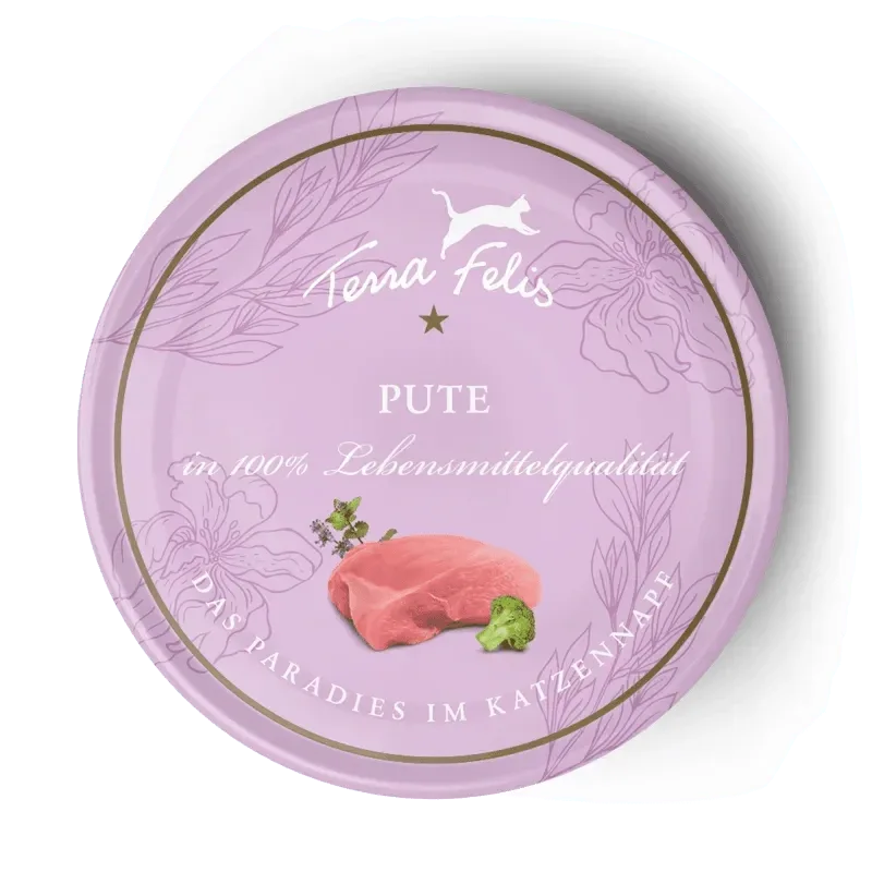 Terra Felis Pute - Image 2