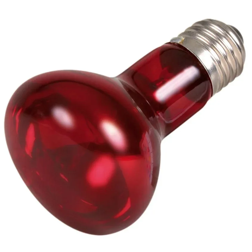 Terrarium Infrarot Lampe - Image 2