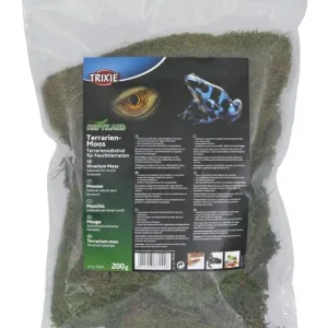 Terrarium Moos für Feuchtterrarien