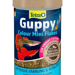 Tetra Guppy Color 100ml | DAS FUTTERHAUS