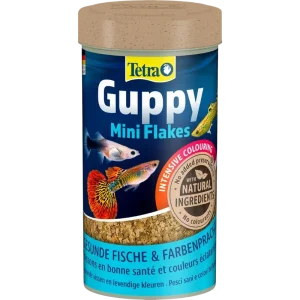 Tetra Guppy