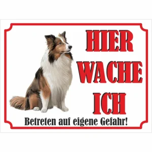 Tierarztempfohlenes Shetland Schäferhund - Schild bedruckt - Hier wache ich - Aluverbundplatte Edelstahl Look - HaustierPro