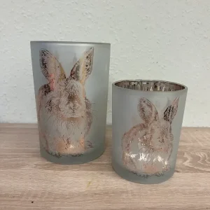 Tierarztempfohlenes Windlicht Hase - HaustierPro