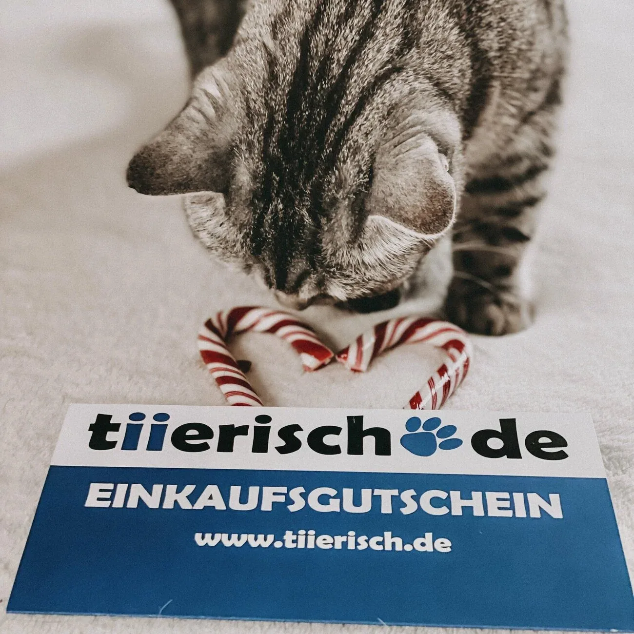 tiierisch.de Geschenkgutschein für Haustierbesitzer – Einkaufsgutschein 10–200€ - Image 2