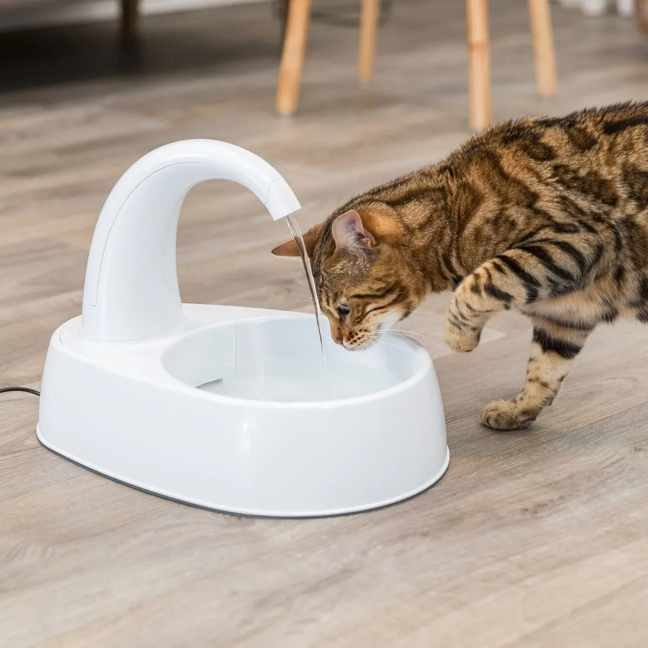 Trinkbrunnen Curved Stream für Katzen - Image 2