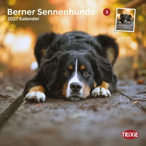 TRIXIE 2027 Kalender Berner Sennenhund