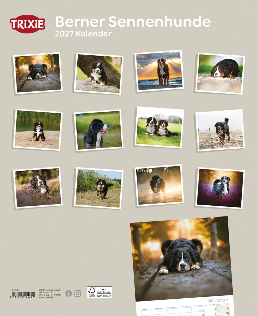 TRIXIE 2027 Kalender Berner Sennenhund - Image 2