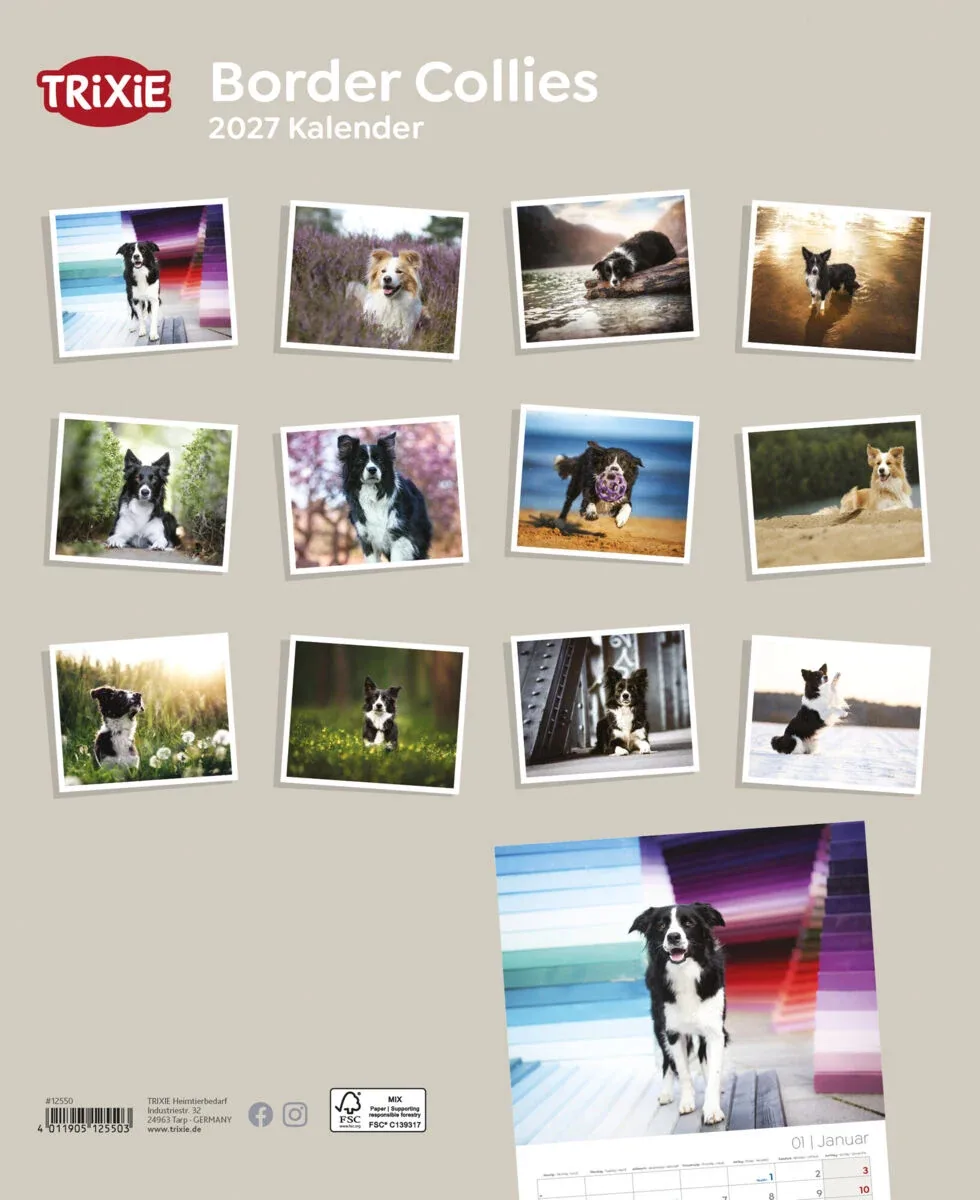 TRIXIE 2027 Kalender Border Collies - Image 2