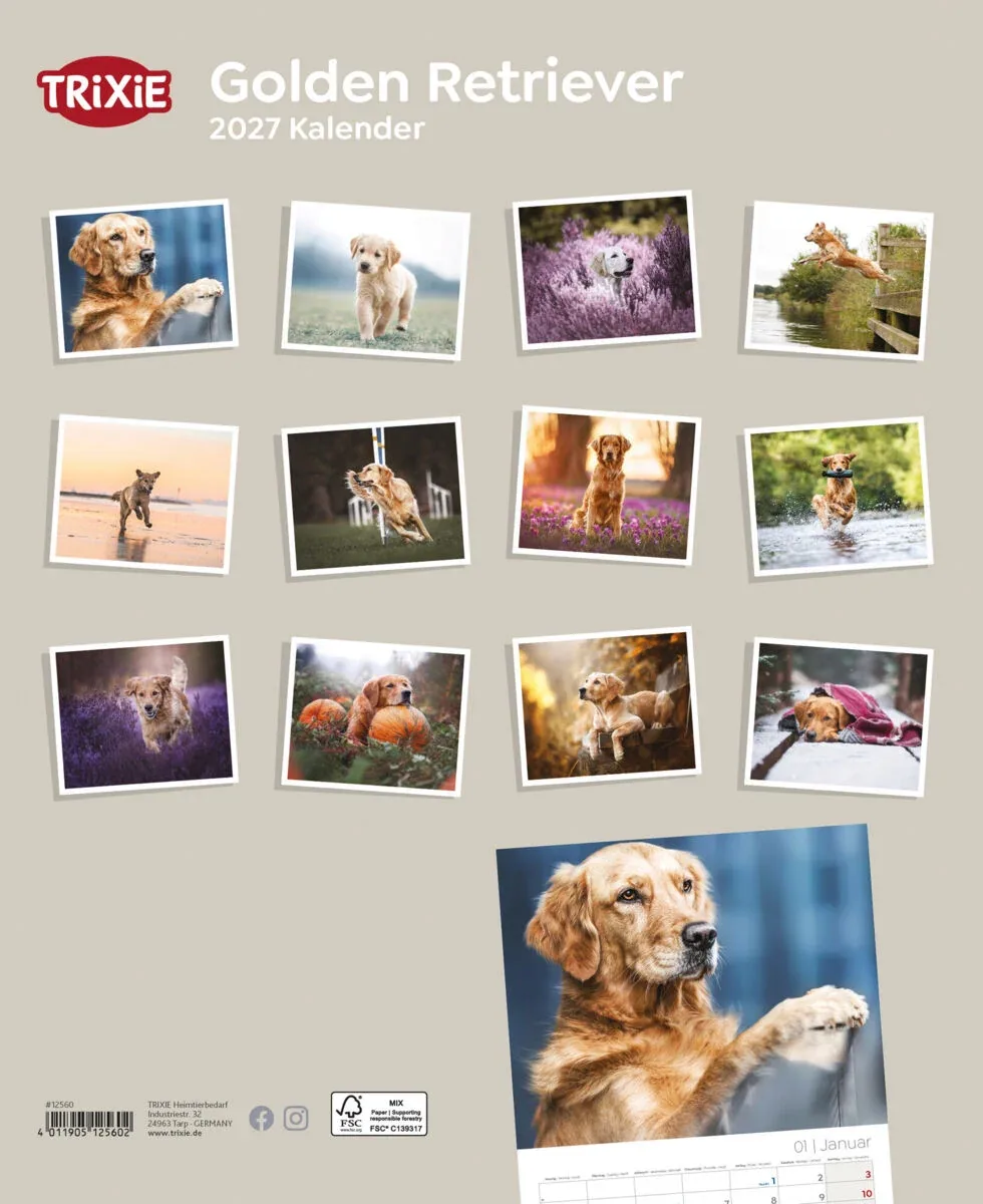 TRIXIE 2027 Kalender Golden Retriever - Image 2