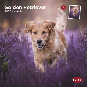 TRIXIE 2027 Kalender Golden Retriever