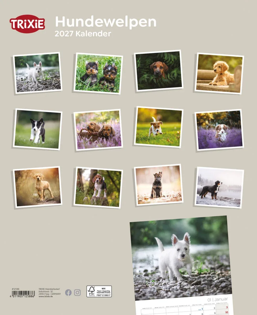 TRIXIE 2027 Kalender Hundewelpen - Image 2