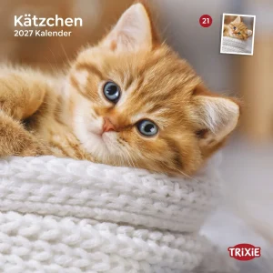 TRIXIE 2027 Kalender Kätzchen