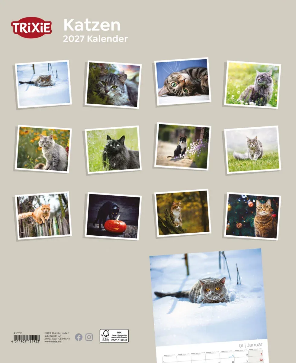 TRIXIE 2027 Kalender Katzen - Image 2
