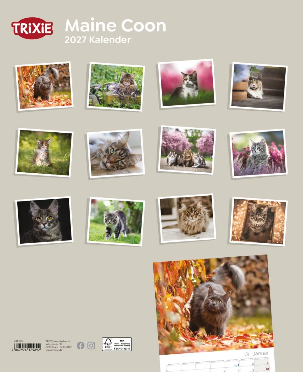 TRIXIE 2027 Kalender Maine Coon Katzen - Image 2