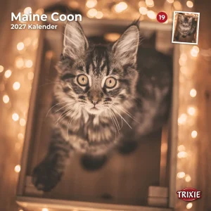 TRIXIE 2027 Kalender Maine Coon Katzen