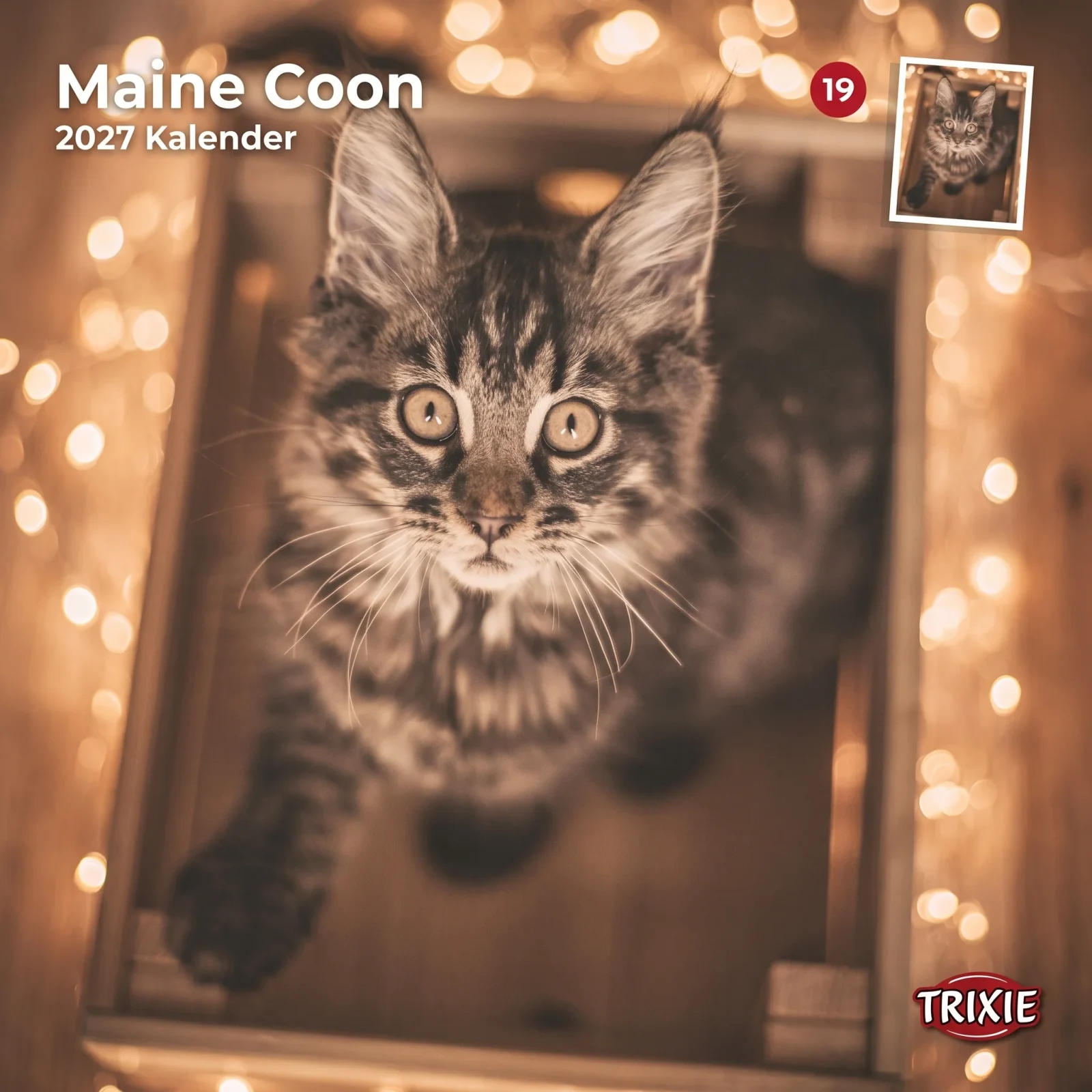 TRIXIE 2027 Kalender Maine Coon Katzen